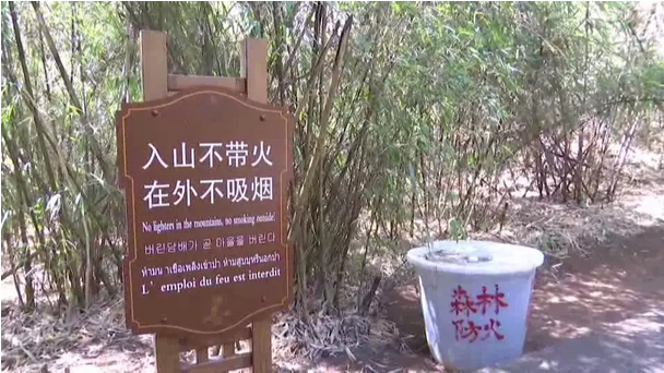 贊！雞足山景區(qū)連續(xù)35年無森林火災(zāi)，因?yàn)樗麄?..